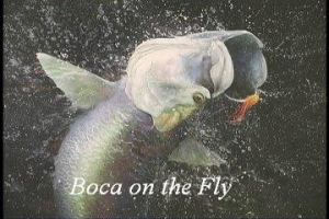 Boca On The Fly - Product Image